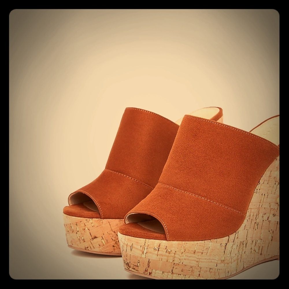 Adorable BNWT Fall Wedges